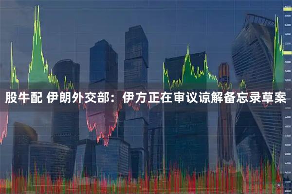 股牛配 伊朗外交部:伊方正在审议谅解备忘录草案