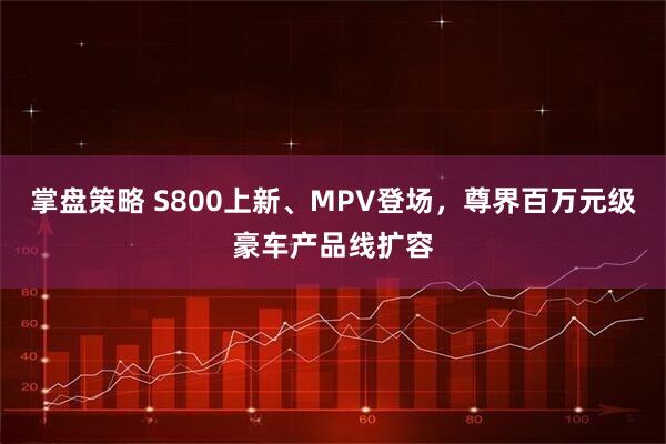 掌盘策略 S800上新、MPV登场，尊界百万元级豪车产品线扩容