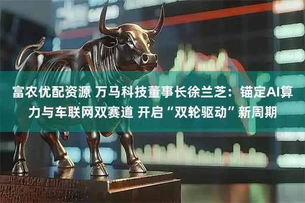 富农优配资源 万马科技董事长徐兰芝：锚定AI算力与车联网双赛道 开启“双轮驱动”新周期