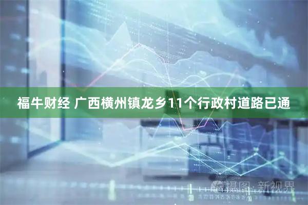 福牛财经 广西横州镇龙乡11个行政村道路已通