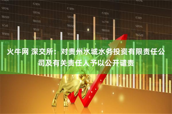 火牛网 深交所：对贵州水城水务投资有限责任公司及有关责任人予以公开谴责